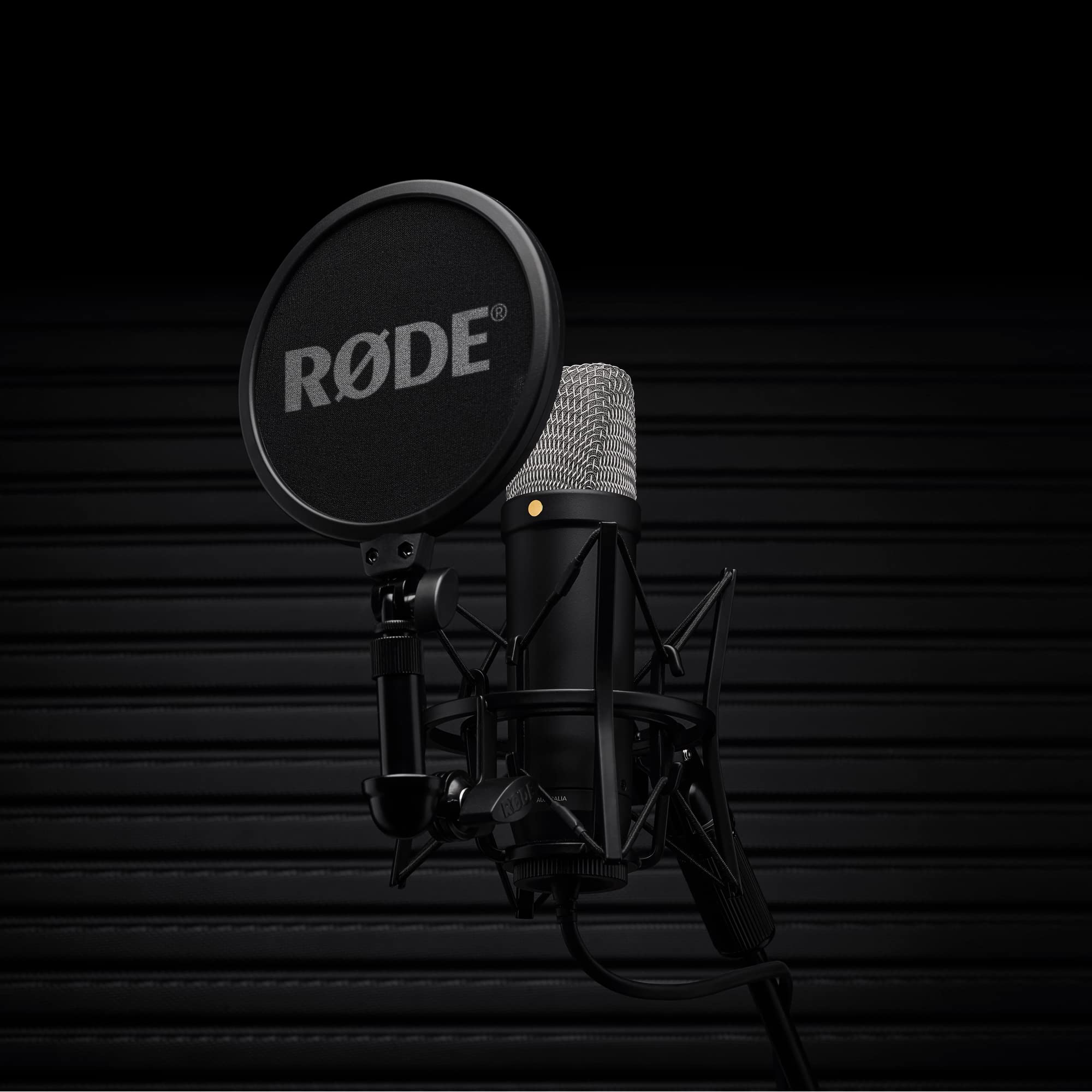 RØDE NT1 5th Gen Studio Condenser Microphone with XLR & USB, 32-bit Float Recording – Black